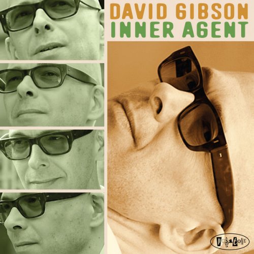David Gibson - Inner Agent (2016) FLAC
