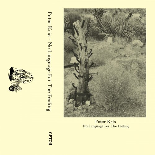 Peter Kris - No Language For The Feeling (2021) [Hi-Res]