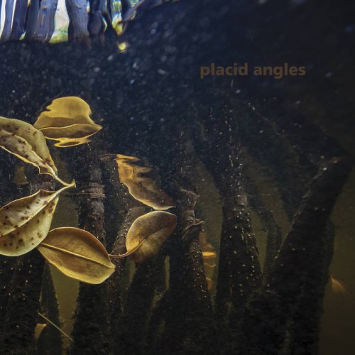 Placid Angles - Touch The Earth (2021)