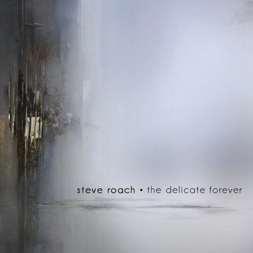 Steve Roach - The Delicate Forever (2014)