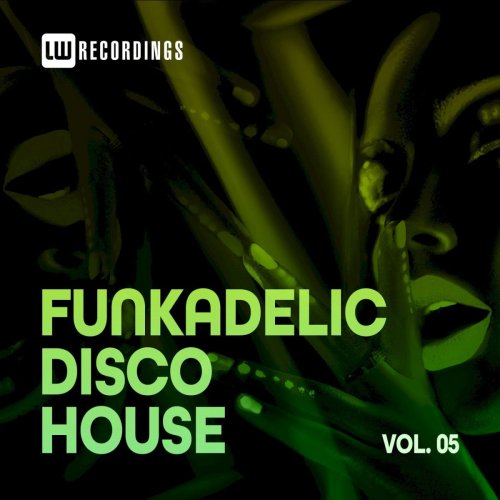 VA - Funkadelic Disco House, 05 (2021)