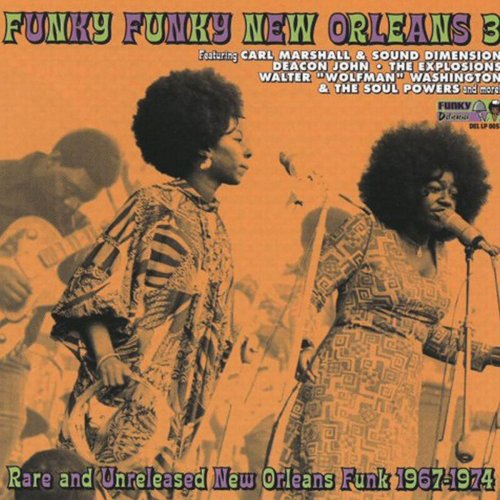 VA - Funky Funky New Orleans, Vol. 3 (2021)