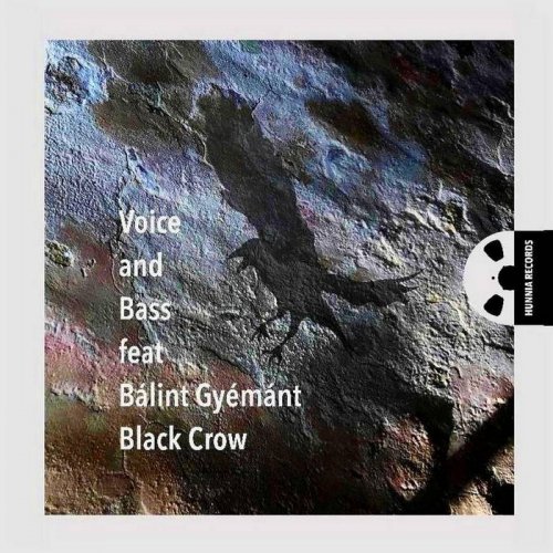 Voice and Bass, Balint Gyemant - Black Crow (2021) [Hi-Res]