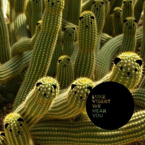 Luke Vibert - We Hear You (2009) FLAC