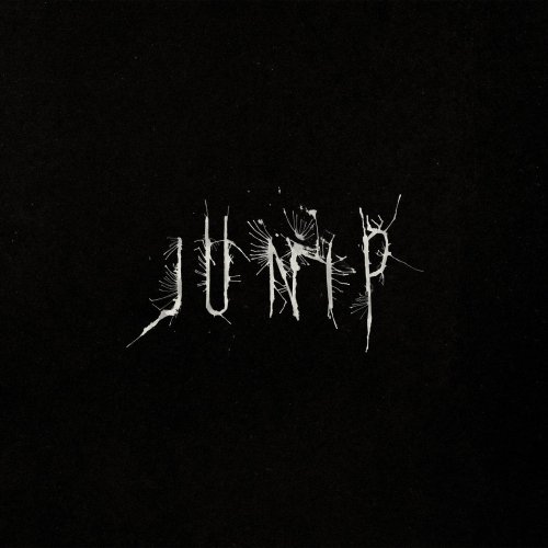 Junip - Junip (2013)