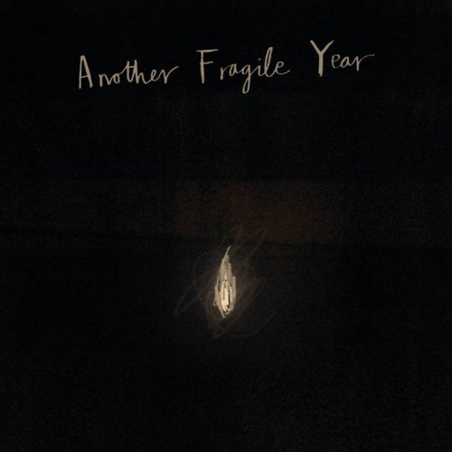 Robin Mitchell - Another Fragile Year (2015) [Hi-Res]