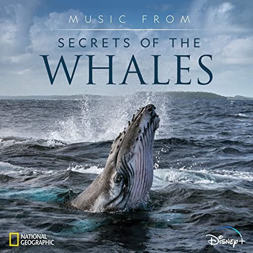 Raphaelle Thibaut - Music from Secrets of the Whales (2021)