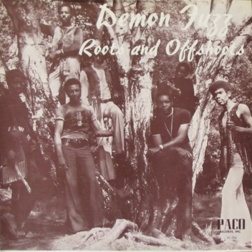 Demon Fuzz - Roots And Offshoots (2019 French Reissue) (1976) Vinyl