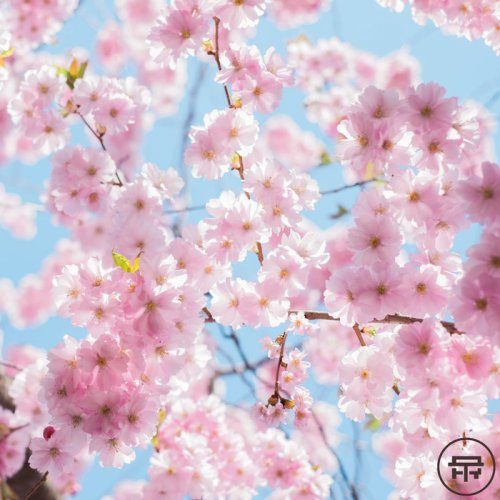 VA - Terabyte Records presents: Spring Syntax (2021)