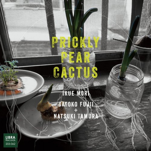 Ikue Mori, Satoko Fujii, Natsuki Tamura - Prickly Pear Cactus (2020)