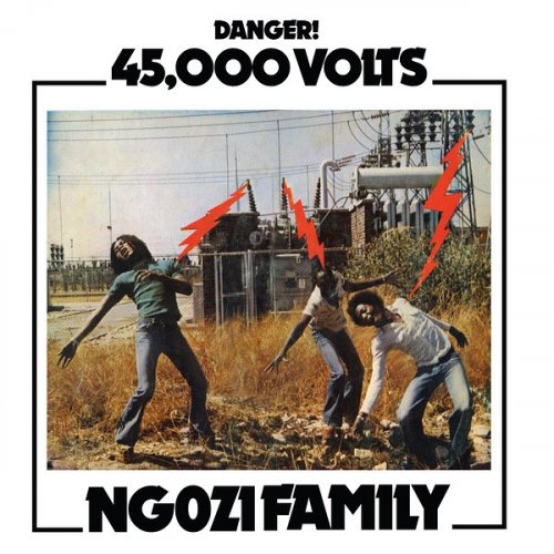 Ngozi Family - 45,000 Volts (2021)