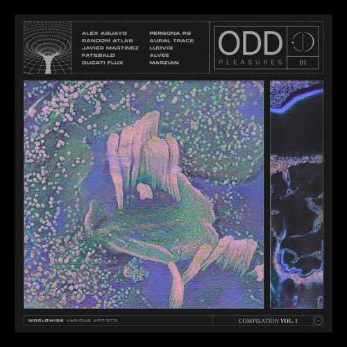 VA - ODD Pleasures Compilation Vol.1 (2021)