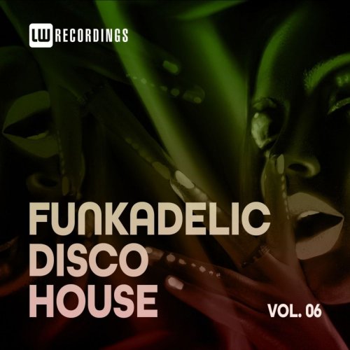 VA - Funkadelic Disco House, 06 (2021)