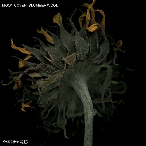 Moon Coven - Slumber Wood (2021) Hi-Res
