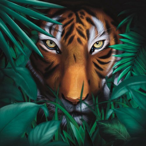 A Vision Of Panorama - Unique Tiger (2021)