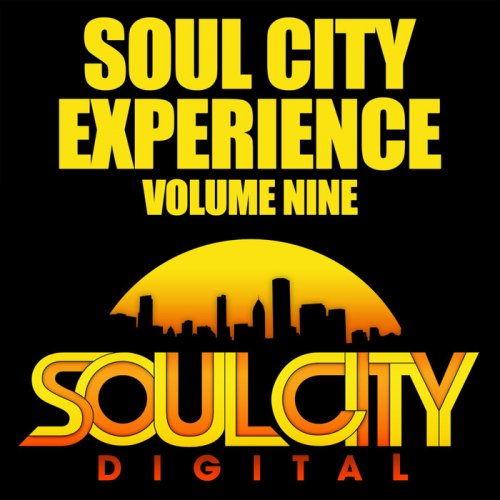 VA - Soul City Experience Vol 9 (2021)