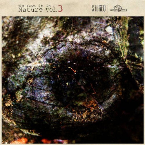 Various Artists - We Got It In Nature, Vol. 3 (2015) [Hi-Res]