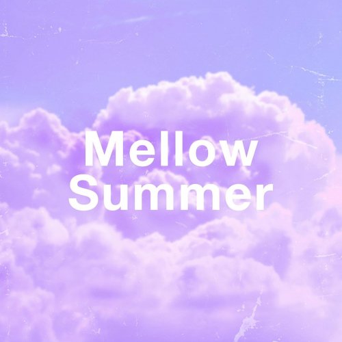 VA - Mellow Summer (2021)