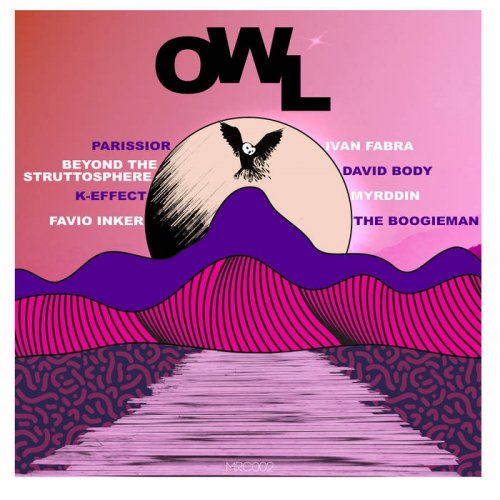 VA - Owl (2021)