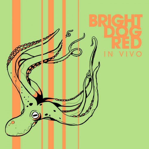 Bright Dog Red - In Vivo (2021)