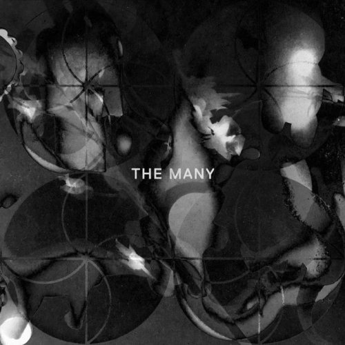 VA - The Many (2020)