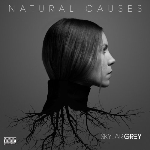 Skylar Grey - Natural Causes (2016) [Hi-Res]