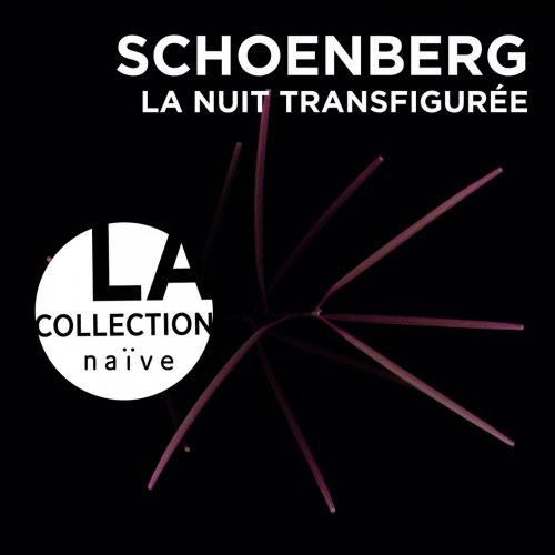 Arditti Quartet - Schoenberg: La nuit transfigurée (2013)
