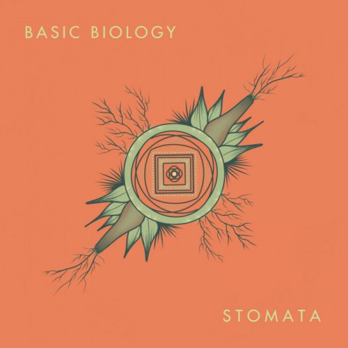 Basic Biology - Stomata LP (2021)