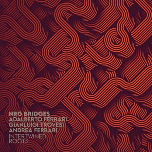NRG Bridges - Intertwined Roots (feat. Gianluigi Trovesi, Adalberto Ferrari & Andrea Ferrari) (2021)