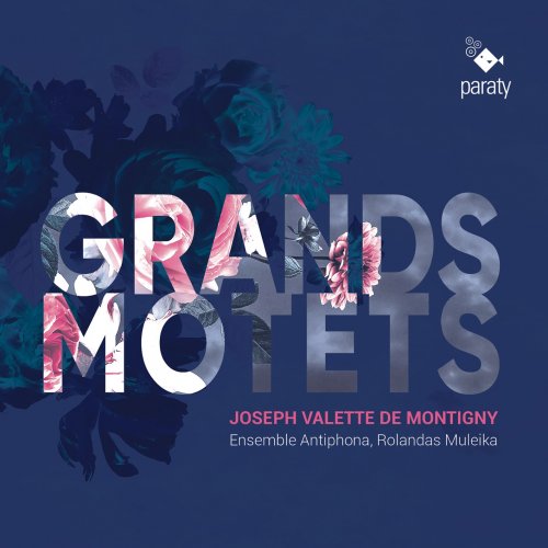 Ensemble Antiphona & Rolandas Muleika - Montigny: Grands Motets (2021) [Hi-Res]