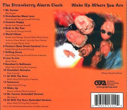 The Strawberry Alarm Clock - Wake Up Where You Are (2012)