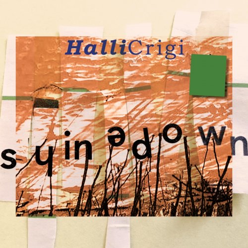 Halli Crigi - Shinedown (2021) Hi-Res