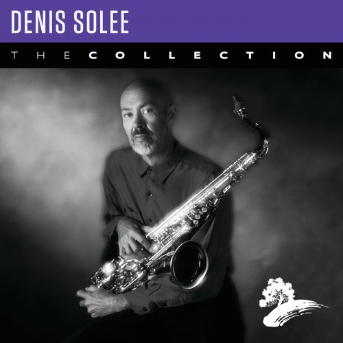 Denis Solee - Denis Solee: The Collection (2021)