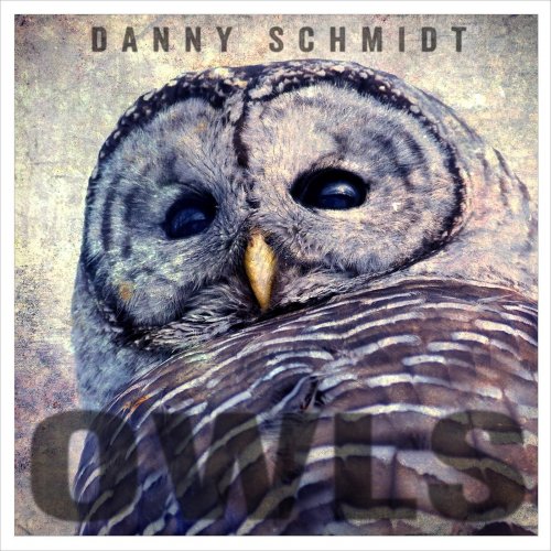 Danny Schmidt - Owls (2015)