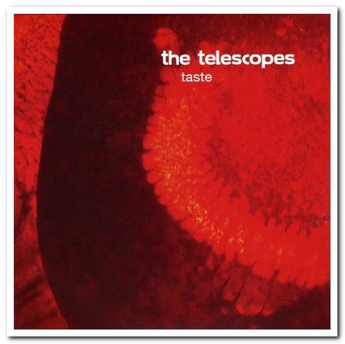 The Telescopes - Taste (1989) [Reissue 2006 & 2011]