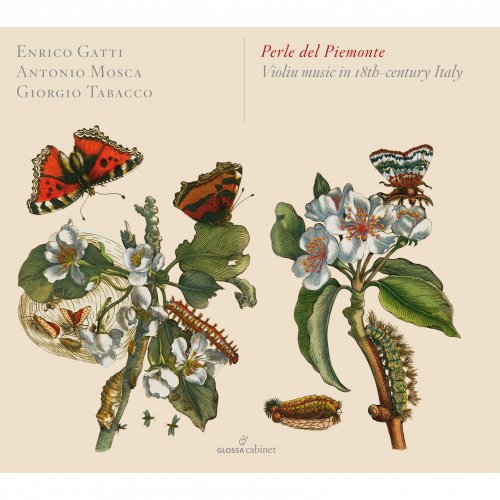 Enrico Gatti - Perle del Piemonte (Violin Music in 18th-C. Italy) (2015)