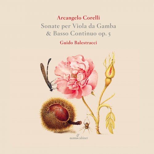 Guido Balestracci - Sonate per Viola da Gamba & basso continuo op. 5 (2021)