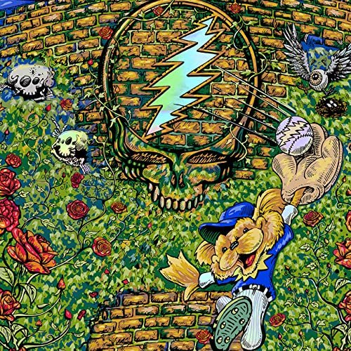 Dead & Company - Wrigley Field, Chicago, IL, 6/15/2019 (Live) (2021) Hi Res