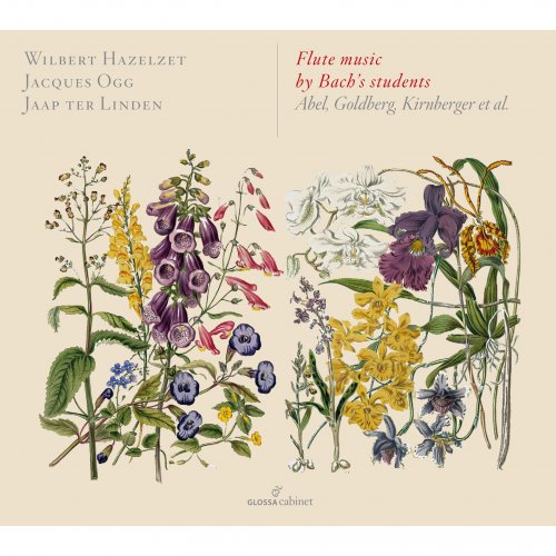 Wilbert Hazelzet - Flute Music by Bach's Students (Abel, Goldberg...) (2014)