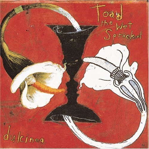 Toad The Wet Sprocket - Dulcinea (1994)