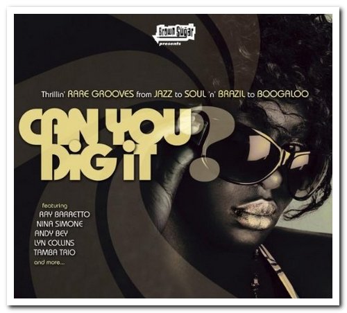 VA - Can You Dig It? Thrillin' RARE GROOVES from JAZZ to SOUL 'n' BRAZIL to BOOGALOO (2007)