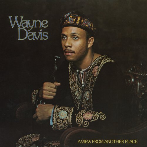 Wayne Davis - A View From Another Place (2013)
