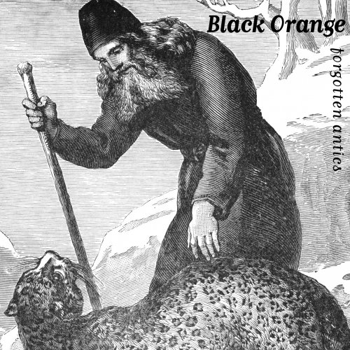 Black Orange - Forgotten Antics (2013)