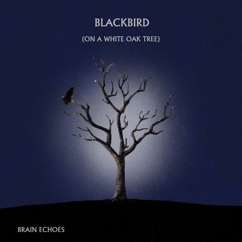 Brain Echoes - Blackbird (On A White Oak Tree) (2021) [Hi-Res]