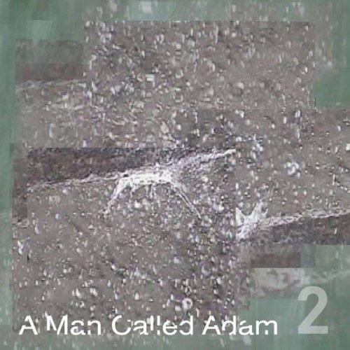 A Man Called Adam - Collected Works, Volume Two (2011) FLAC