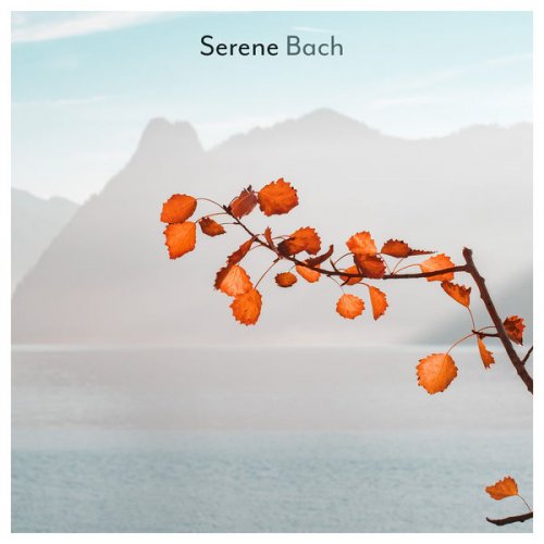 VA - Serene Bach (2021) FLAC