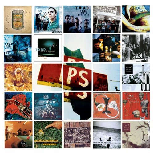 Toad the Wet Sprocket - P.S. (A Toad Retrospective) (1999)