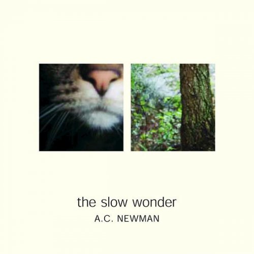 A.C. Newman - The Slow Wonder (2004)