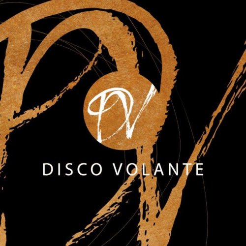 VA - Disco Volante (2021)