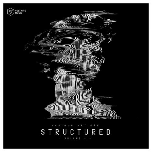 VA - Voltaire Music Pres. Structured, Vol. 8 (2021)